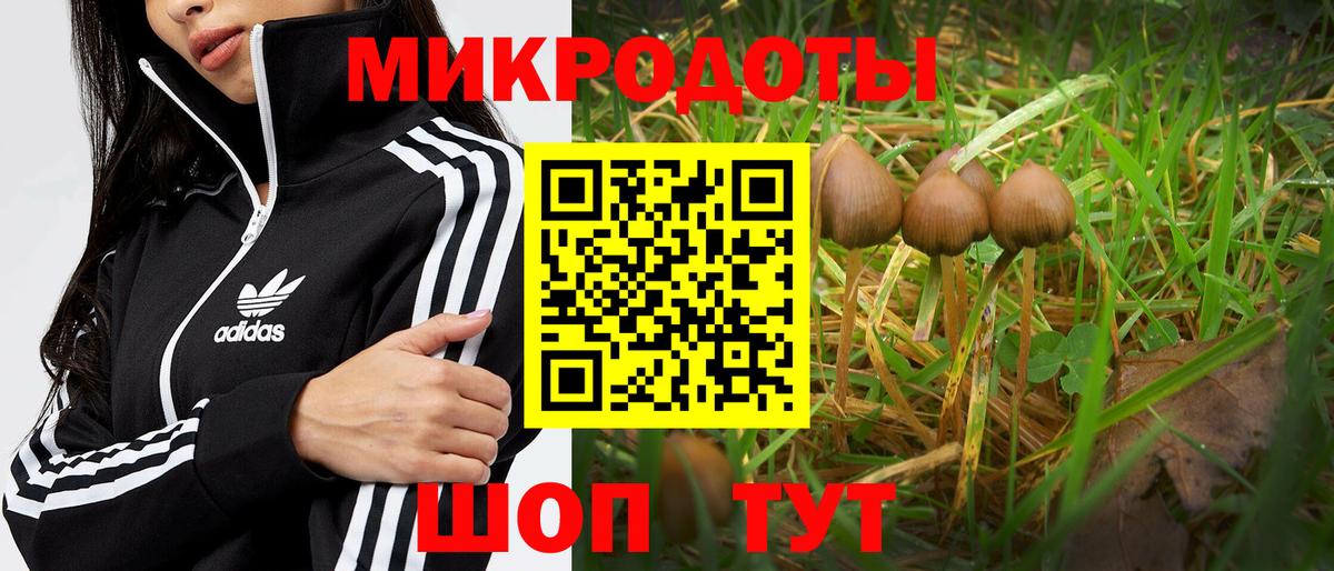 Валуйки  Псилоцибиновые грибы Psilocybe  Вход с VPN  Галлюциногенные грибы Psilocybe 