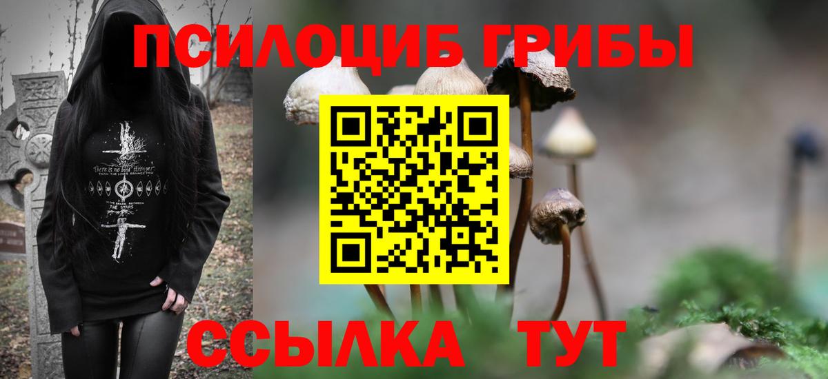 Галлюциногенные грибы Cubensis Валуйки